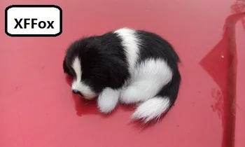 Mała prawdziwe życie czarno-biały model psy plastik i futra kochanie śpiący pies lalka prezent około 10x4x7cm xf1471